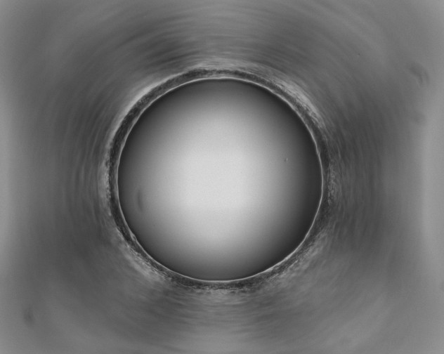 X0000110920976200906181405