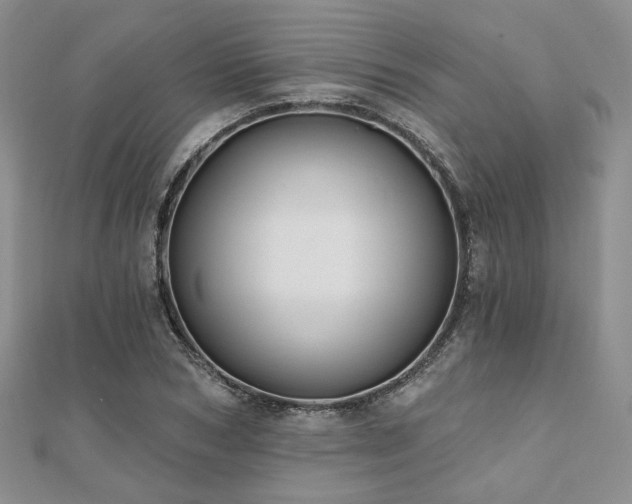 X0000110920978200906181405