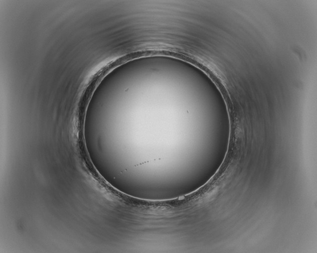 X0000110920979200906181405