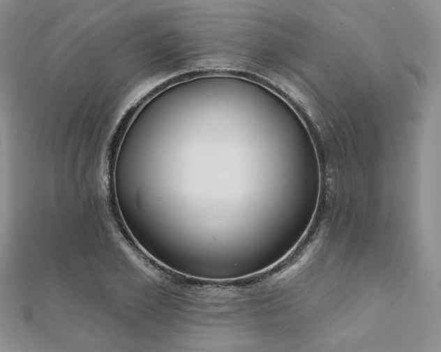 X0000110920981200906181405