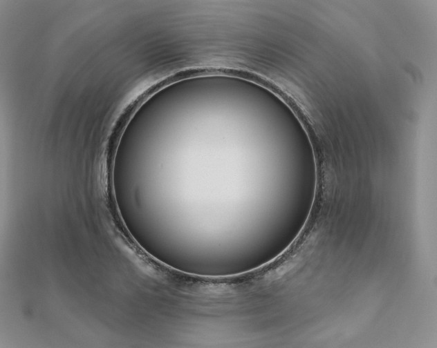 X0000110920982200906181405