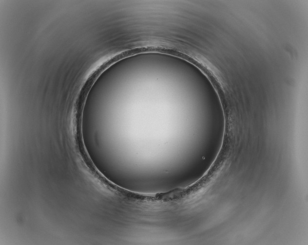 X0000110920983200906181405