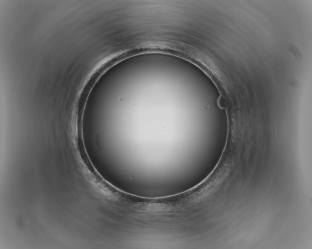 X0000110920984200906181405