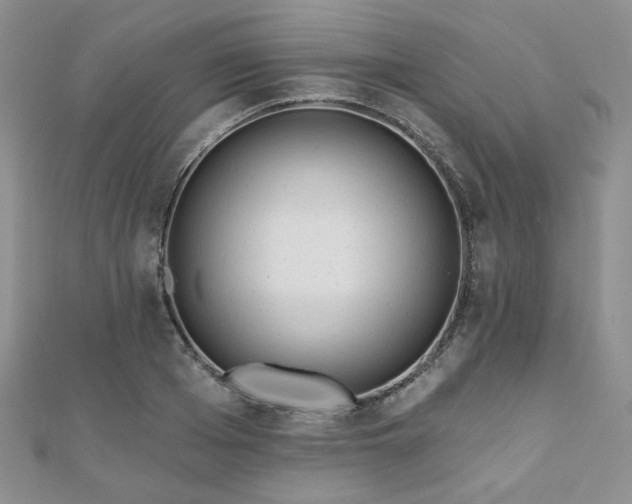 X0000110920985200906181405
