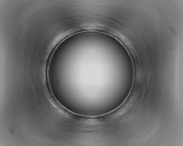 X0000110920986200906181405