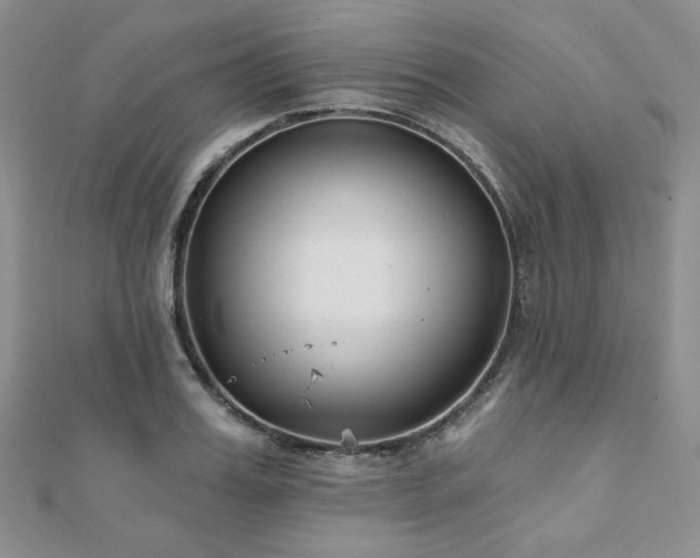 X0000110920987200906181405