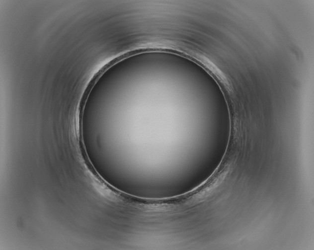 X0000110920988200906181405