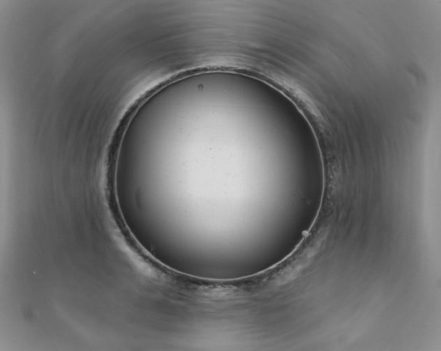 X0000110920991200906181405