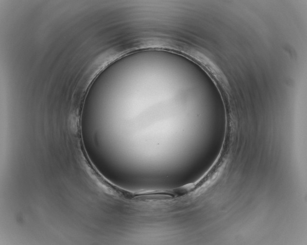 X0000110920993200906181405
