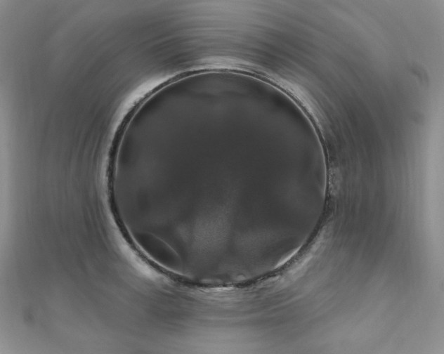 X0000110920995200906181405