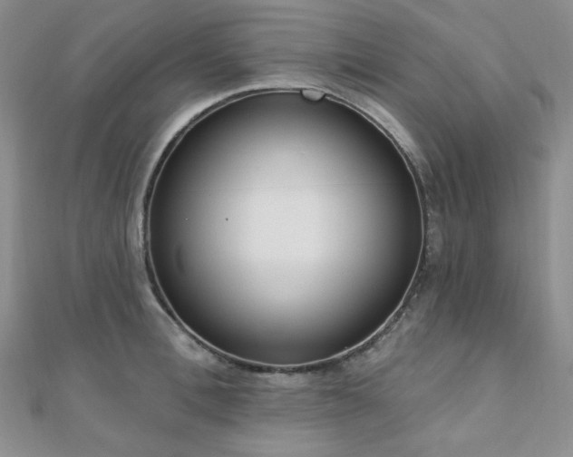 X0000110920996200906181405