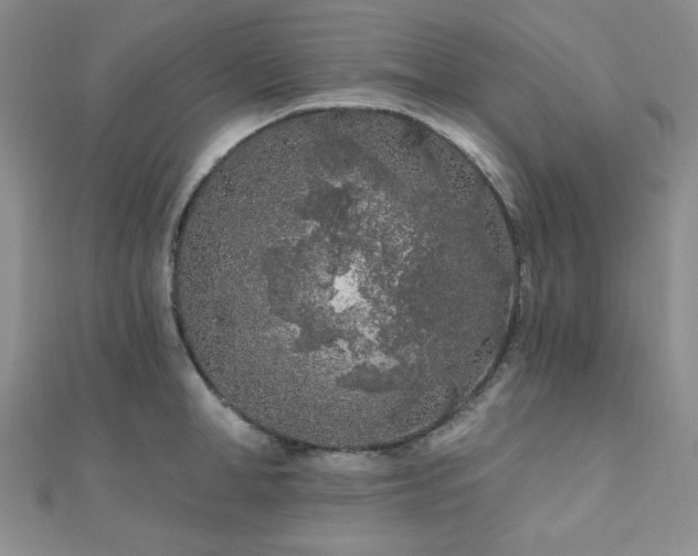 X0000110920998200906181405