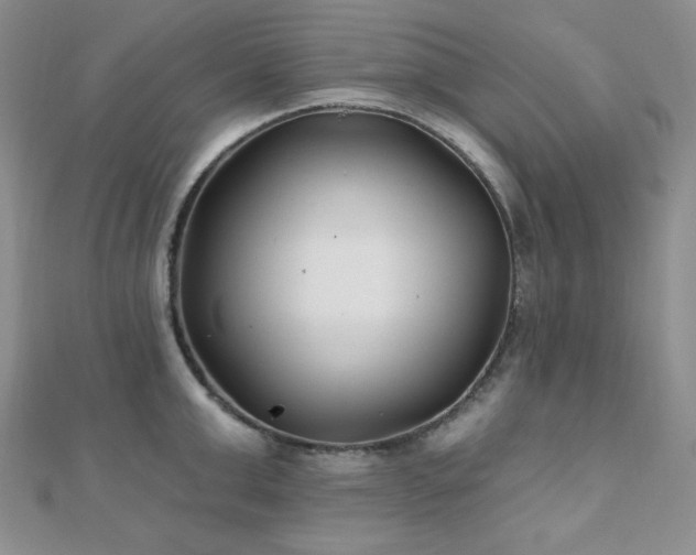 X0000110920999200906181405