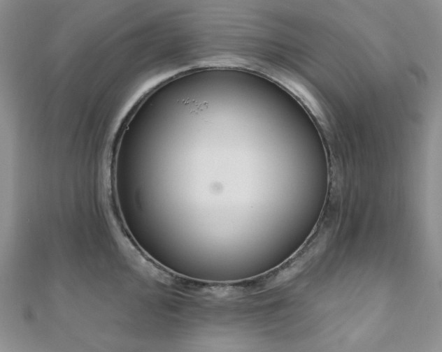 X0000110921000200906181405