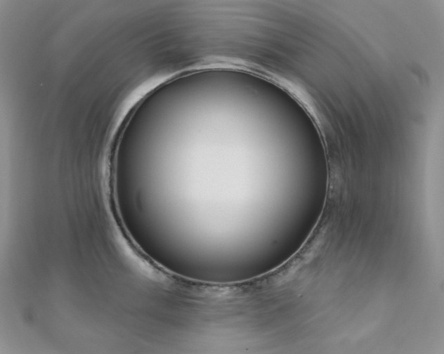 X0000110921003200906181405
