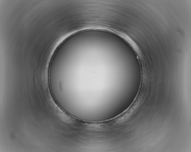 X0000110921004200906181405