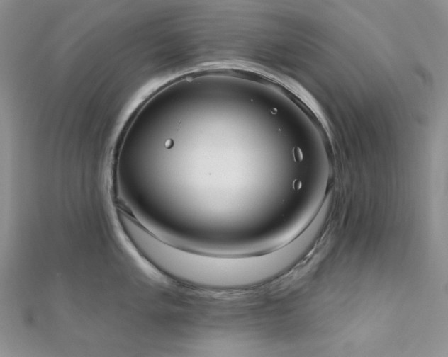 X0000110921005200906181405