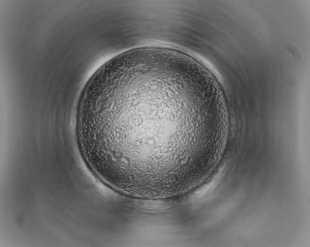 X0000110921007200906181405