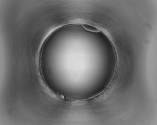X0000110921008200906181405