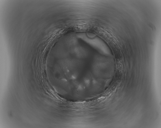 X0000110921009200906181404