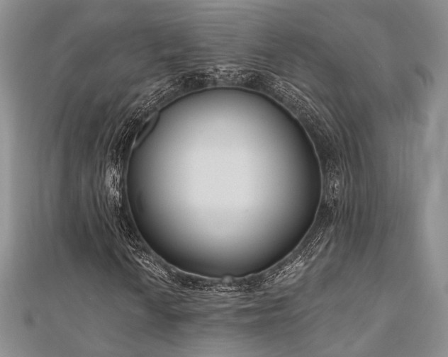 X0000110921010200906181404
