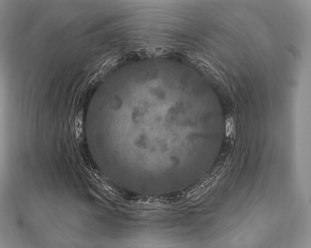 X0000110921011200906181404