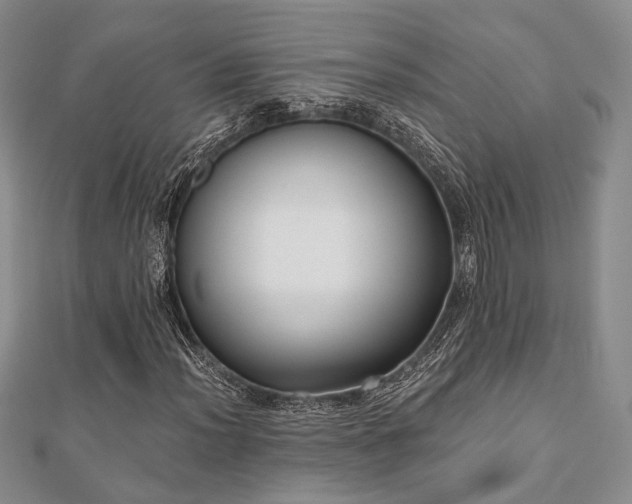 X0000110921012200906181404