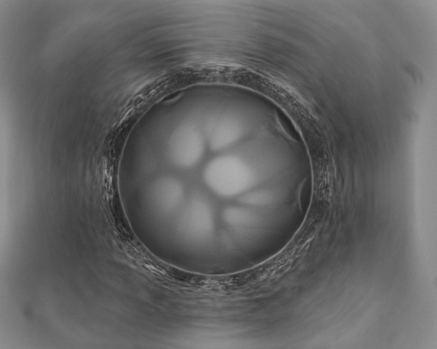 X0000110921013200906181404