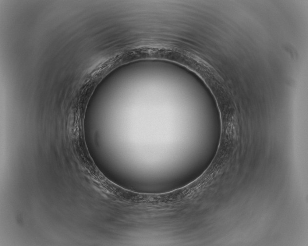 X0000110921014200906181404