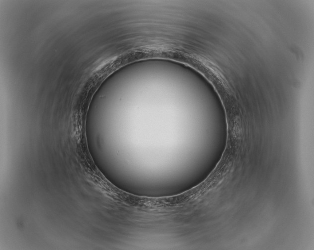 X0000110921015200906181404