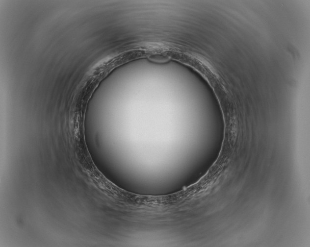 X0000110921016200906181404