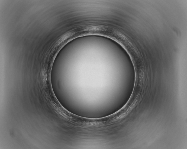 X0000110921017200906181404