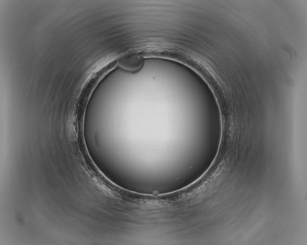 X0000110921018200906181404