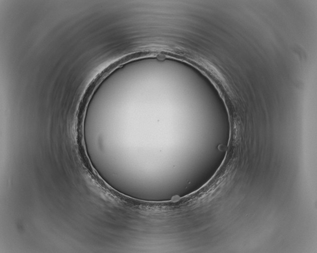 X0000110921020200906181404