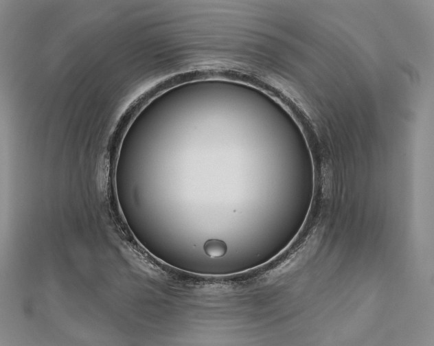 X0000110921021200906181404