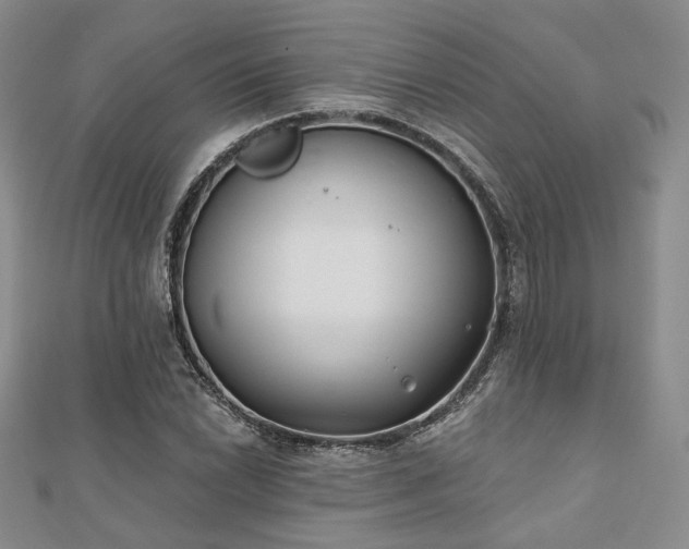 X0000110921022200906181404