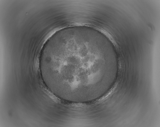X0000110921023200906181404