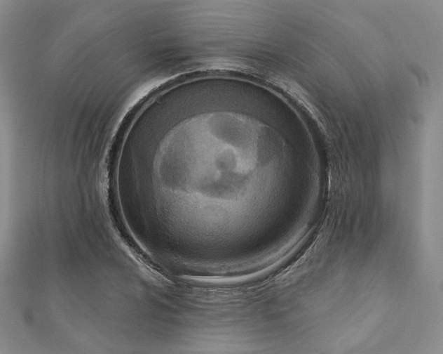 X0000110921024200906181404