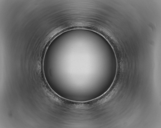 X0000110921025200906181404