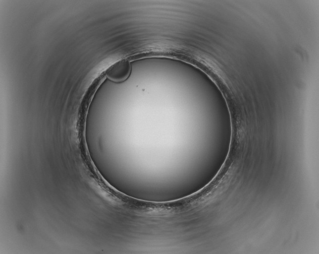 X0000110921026200906181404
