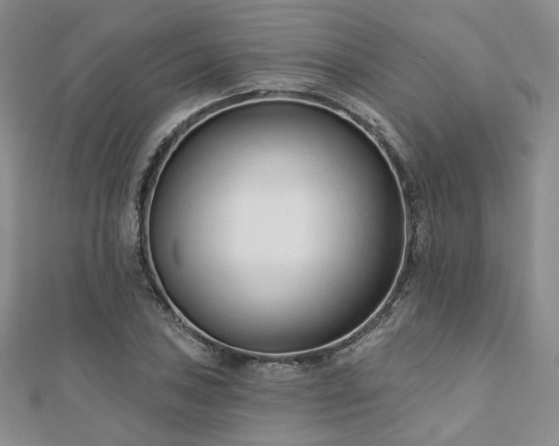 X0000110921027200906181404