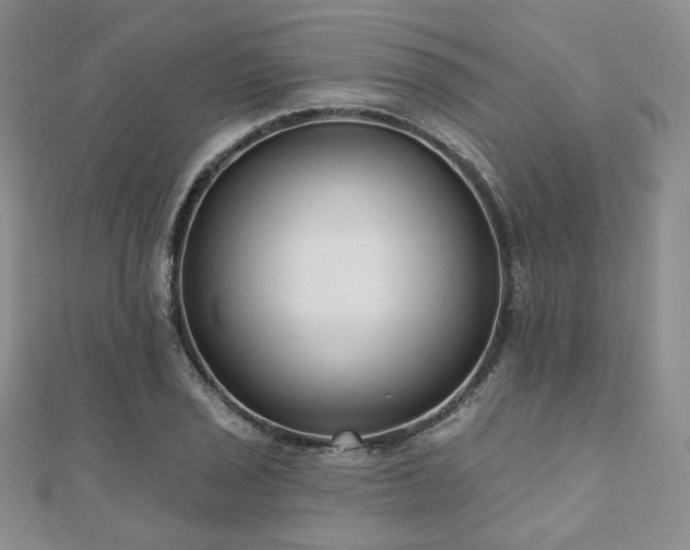 X0000110921029200906181404