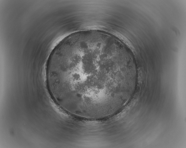 X0000110921031200906181404