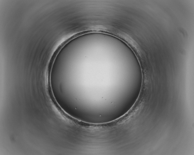 X0000110921032200906181404