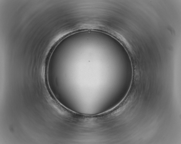 X0000110921035200906181404