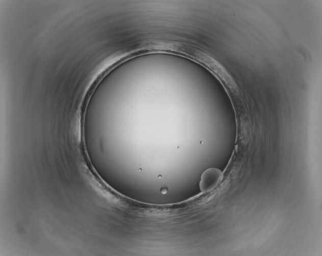 X0000110921036200906181404