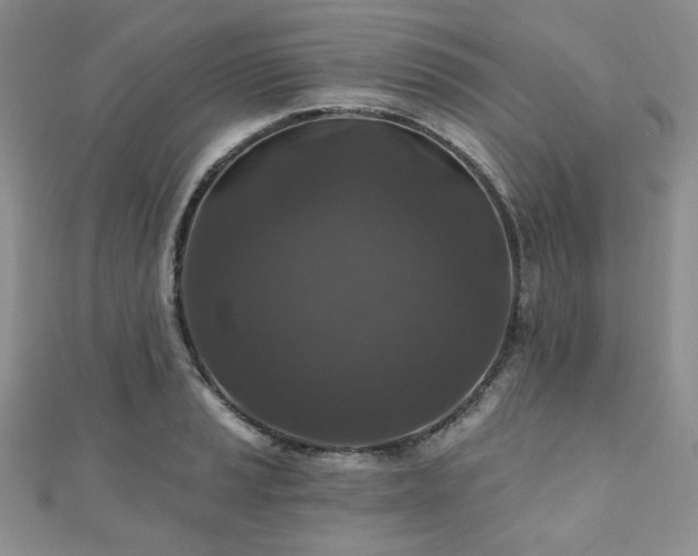 X0000110921037200906181404