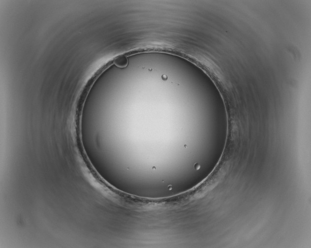 X0000110921038200906181404