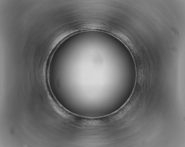 X0000110921039200906181404