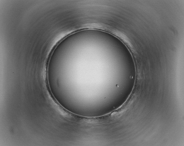 X0000110921040200906181404